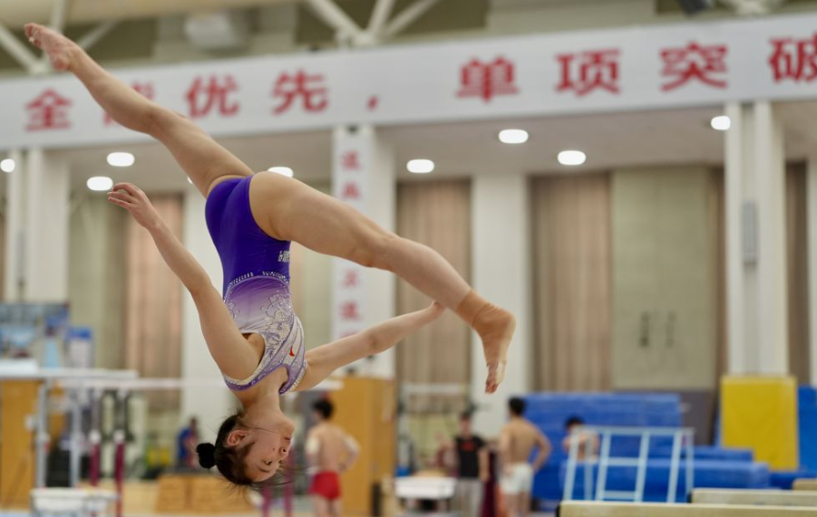 必赢彩票网全方位彩票资讯与解析